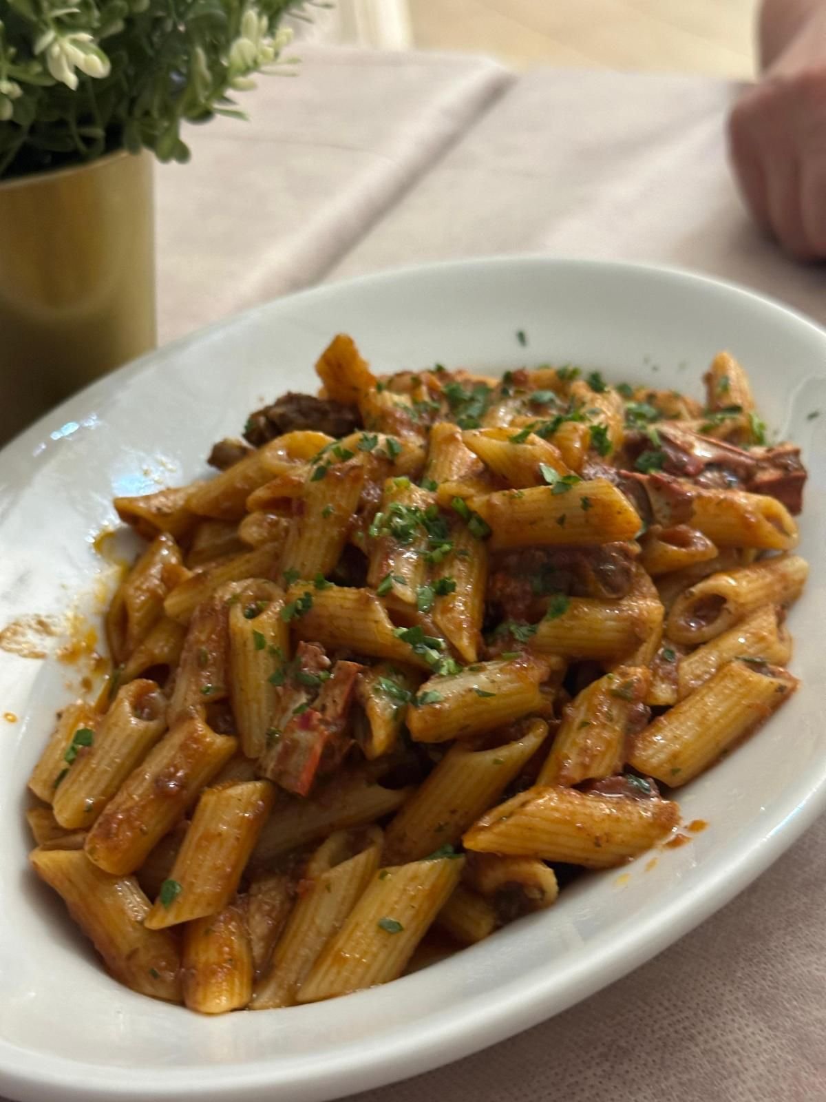 WhatsApp Image 2024-04-03 at 16.19.40_85465c27